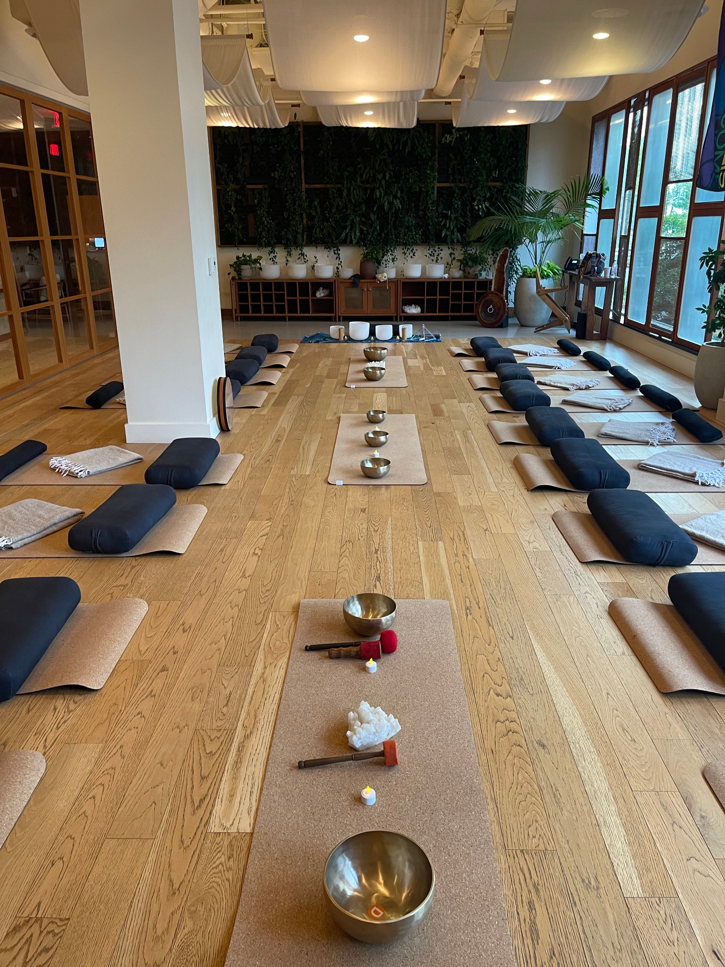 Healthy Soul Wellness - Sound Healing & Energy Work with Elisa Nicole
